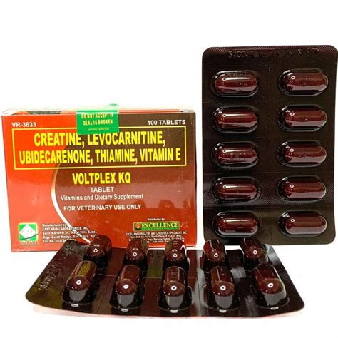 voltplex for cockfighting how to use|Sabong .